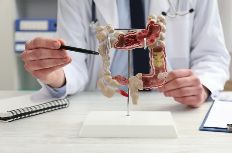 Gastroenterology
