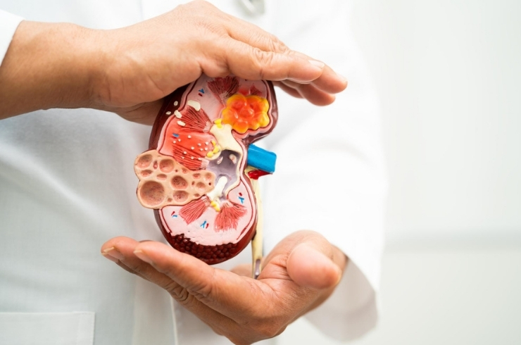 Nephrology