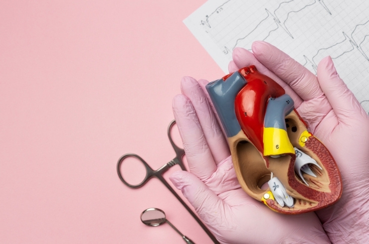 Vascular & Endovascular